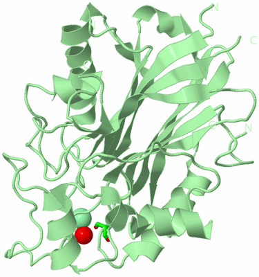 Image Biol. Unit 1 - sites