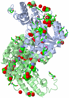 Image Asym./Biol. Unit - sites