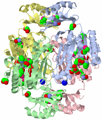 Image Asym./Biol. Unit