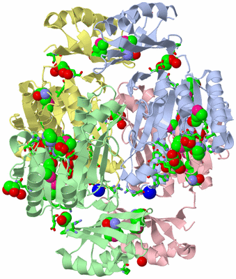 Image Asym./Biol. Unit - sites