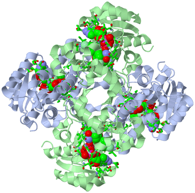 Image Biol. Unit 1 - sites