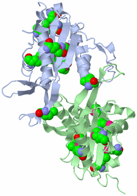 Image Biological Unit 3