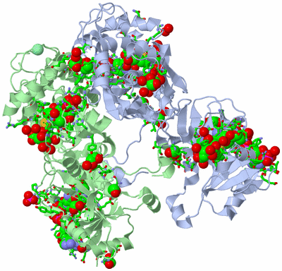 Image Asym./Biol. Unit - sites