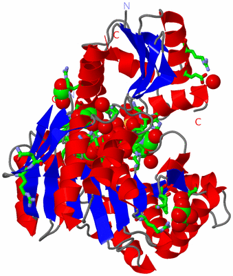 Image Asym./Biol. Unit - sites