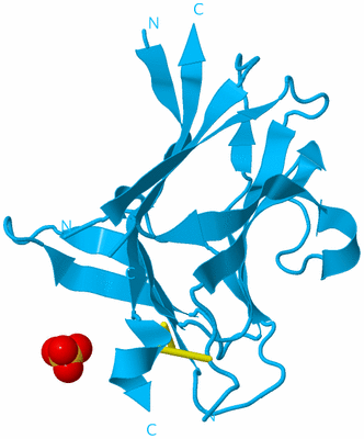 Image Biological Unit 10