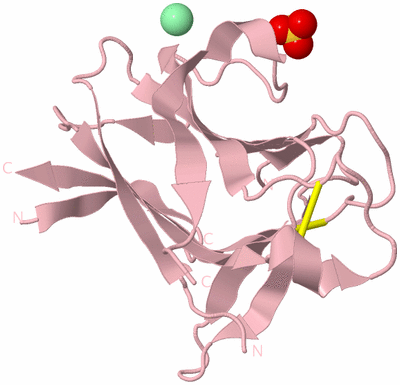 Image Biological Unit 3