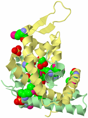 Image Biological Unit 2