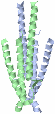 Image Asymmetric Unit