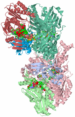 Image Asym./Biol. Unit - sites