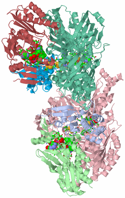 Image Asym./Biol. Unit - sites