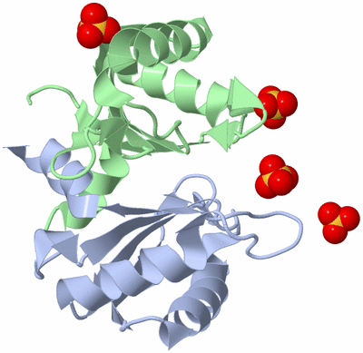 Image Biological Unit 3