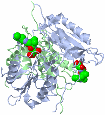 Image Biological Unit 2