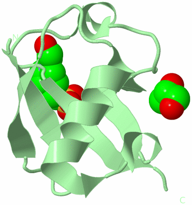 Image Biological Unit 3