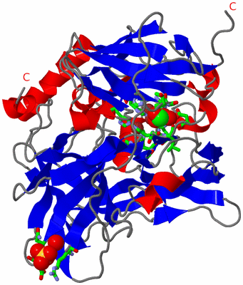 Image Asym./Biol. Unit - sites