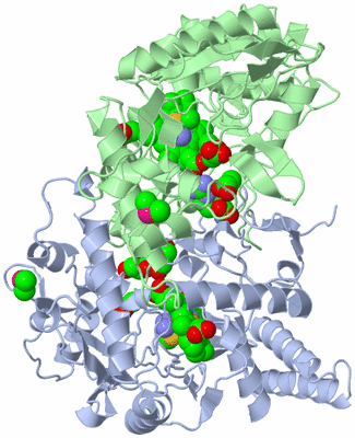 Image Asym./Biol. Unit