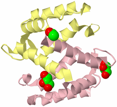 Image Biological Unit 3