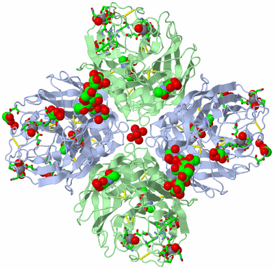 Image Biol. Unit 1 - sites