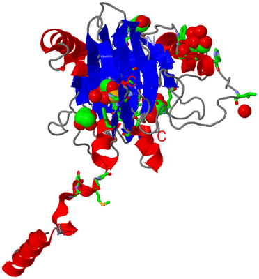 Image Asym. Unit - sites