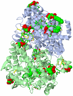 Image Asym./Biol. Unit - sites