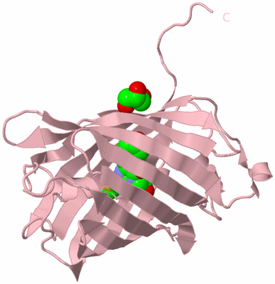 Image Biological Unit 3