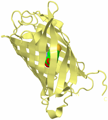 Image Biological Unit 4