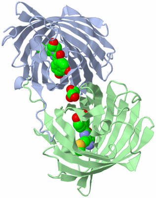 Image Biological Unit 5