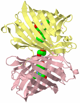 Image Biological Unit 6