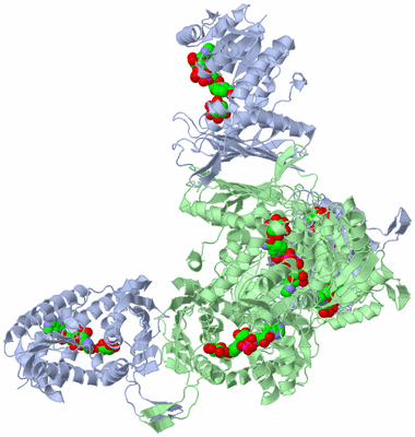 Image Biological Unit 2