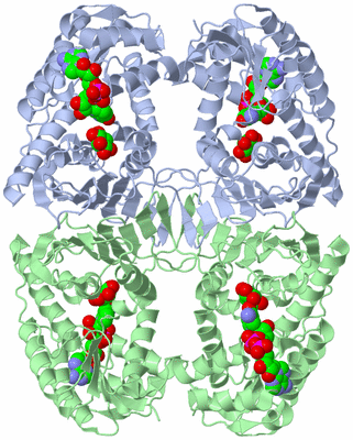 Image Biological Unit 1