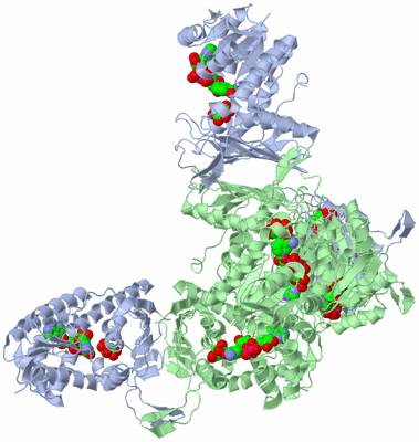 Image Biological Unit 2