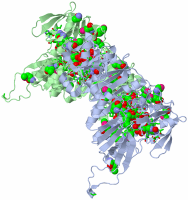 Image Asym./Biol. Unit - sites