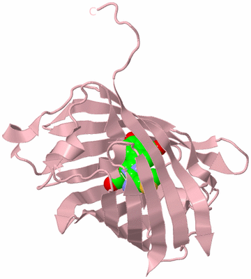 Image Biological Unit 3