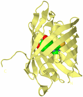 Image Biological Unit 4