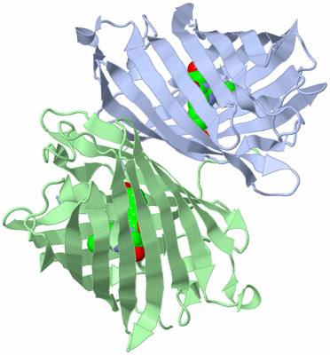 Image Biological Unit 5