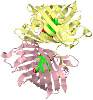 Image Biological Unit 6