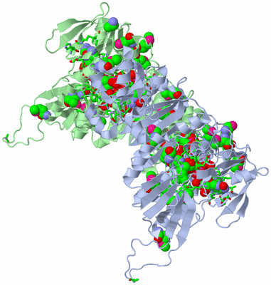 Image Asym./Biol. Unit - sites