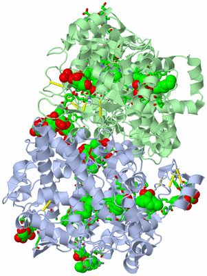 Image Biol. Unit 1 - sites