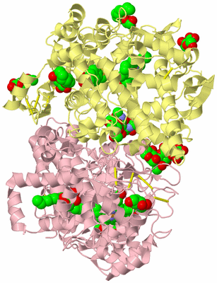 Image Biological Unit 2