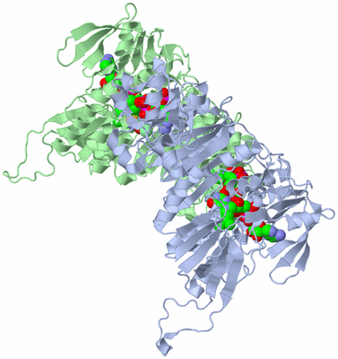 Image Asym./Biol. Unit