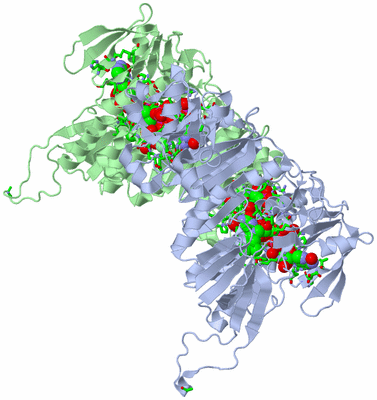 Image Asym./Biol. Unit - sites