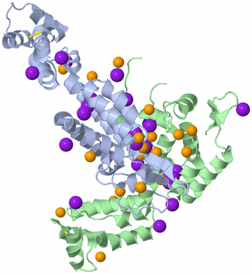 Image Biological Unit 1