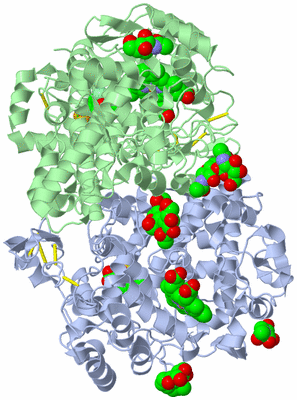 Image Biological Unit 1