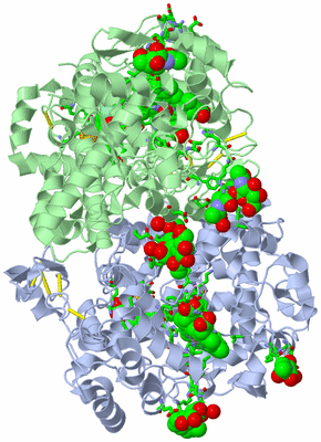 Image Biol. Unit 1 - sites