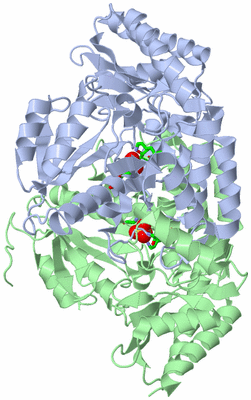 Image Biol. Unit 1 - sites