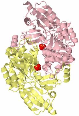 Image Biological Unit 2