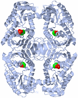 Image Biological Unit 1