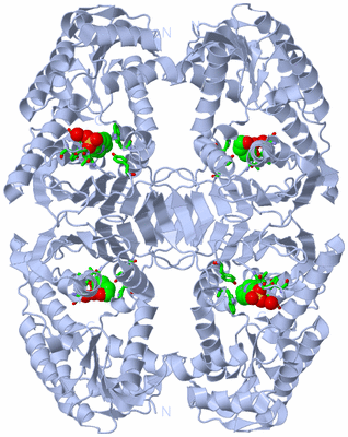 Image Biol. Unit 1 - sites