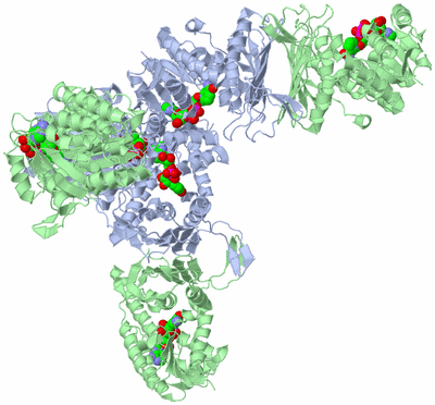 Image Biological Unit 2