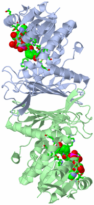 Image Asym. Unit - sites