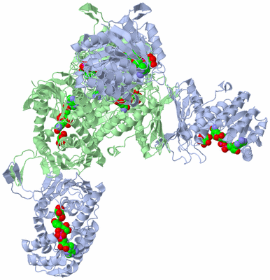 Image Biological Unit 2